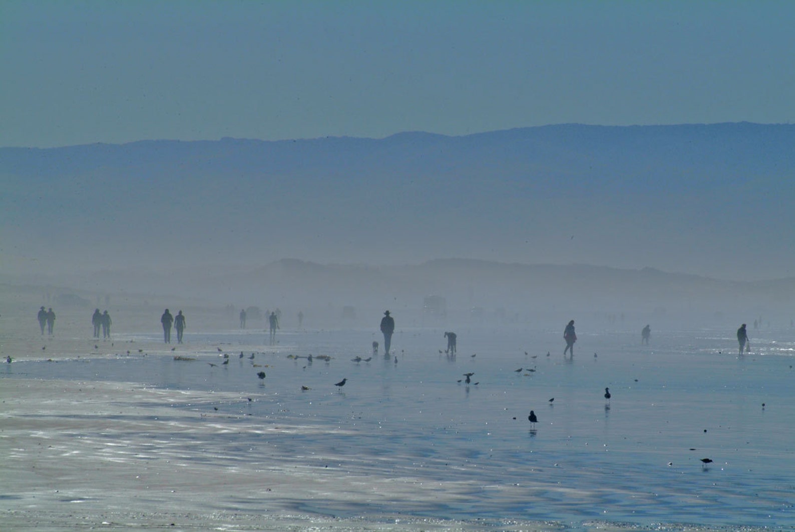 HAZY BEACH AT SAN LUIS OBISPO, CALIFORNIA, USA. 